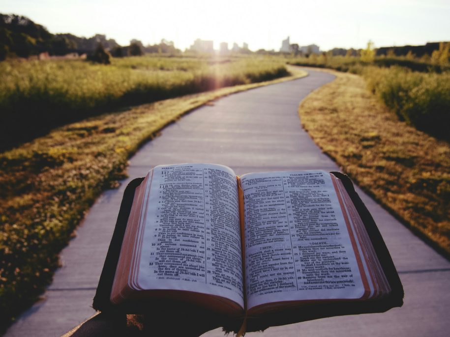 Open Bible beside a sunlit path, illustrating how to hear God through Scripture.